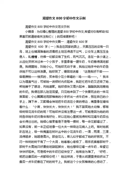 渴望作文800字初中作文范文示例