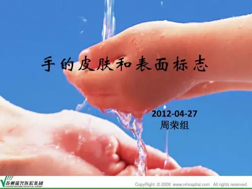 手的皮肤和表面标志