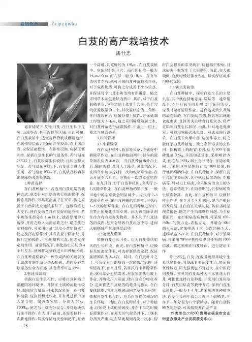 白芨的高产栽培技术