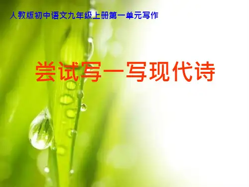 中考作文-尝试写一写现代诗课件