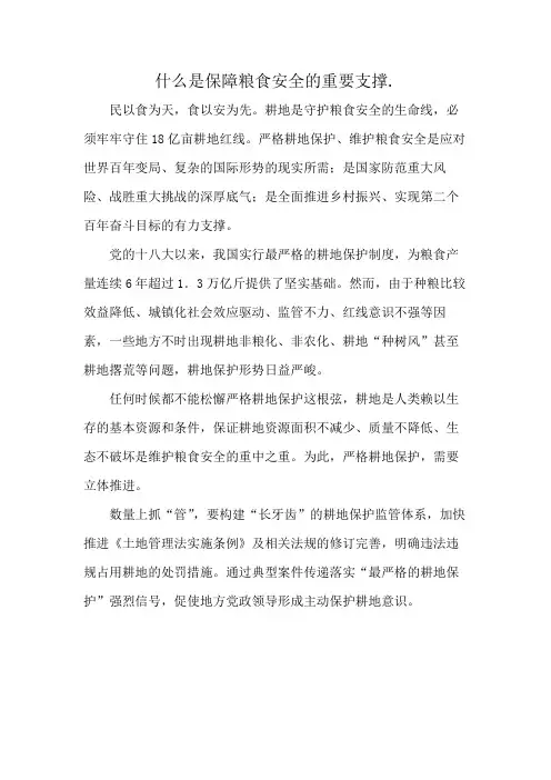 什么是保障粮食安全的重要支撑