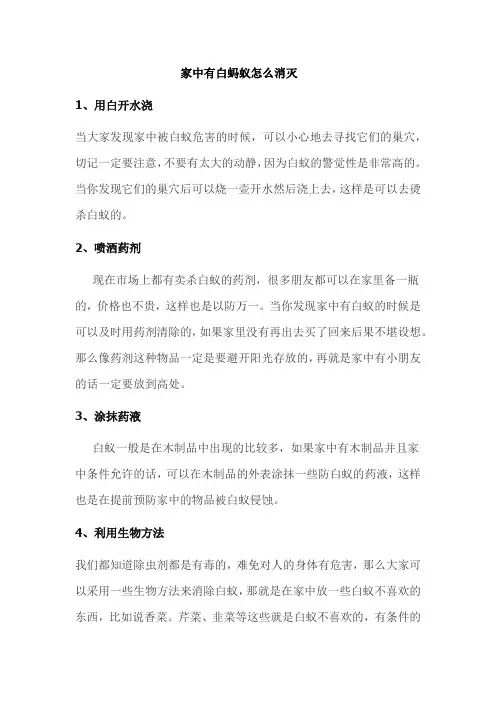 家中有白蚂蚁怎么消灭