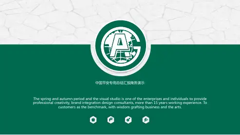 保险行业PPT模板中国平安人寿工伤家庭保险知识培训金融投资理财 (29)