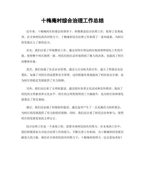 十梅庵村综合治理工作总结
