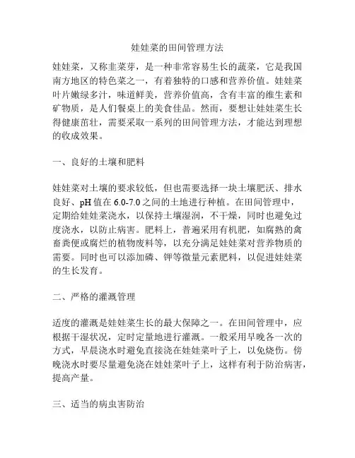 娃娃菜的田间管理方法