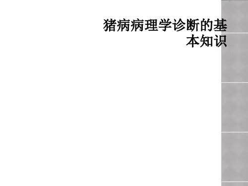 猪病病理学诊断的基本知识