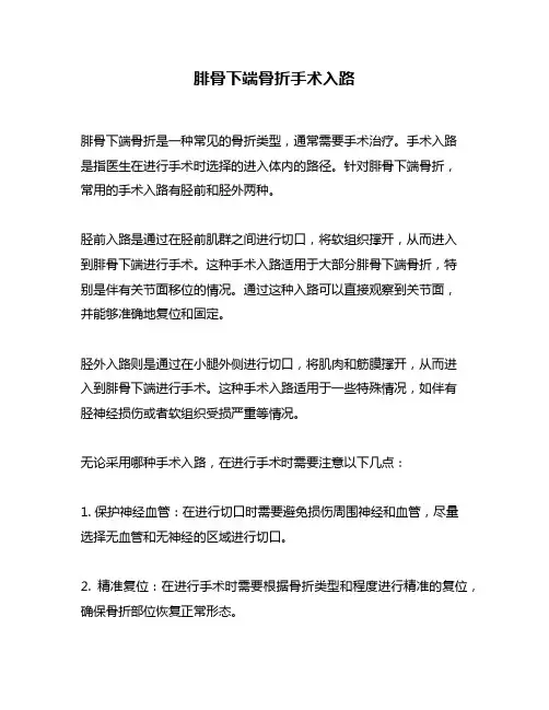 腓骨下端骨折手术入路