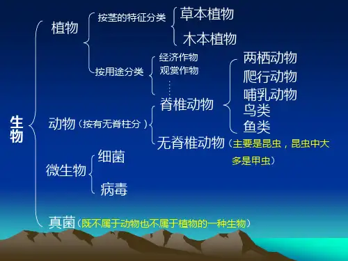 1、1科学丰富多彩的生命世界整理复习