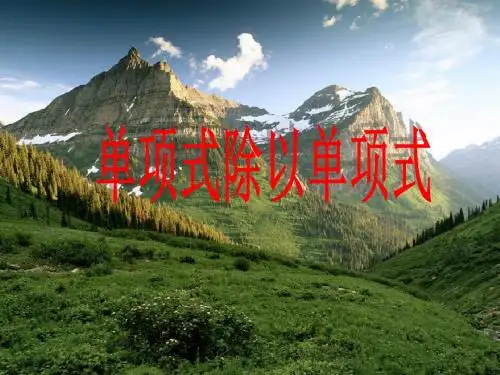 单项式除以单项式(1)