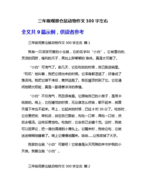 三年级观察仓鼠动物作文300字左右