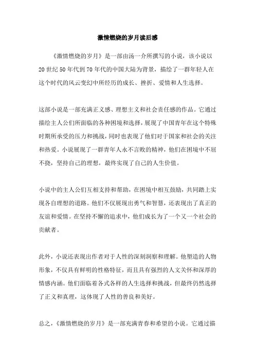 激情燃烧的岁月读后感