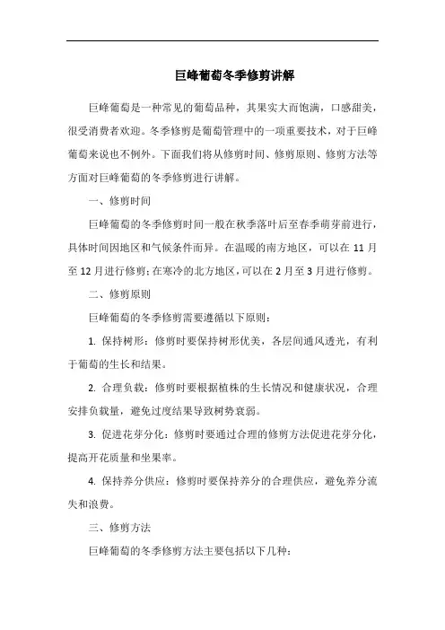 巨峰葡萄冬季修剪讲解