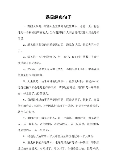 遇见经典句子
