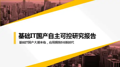 基础IT国产自主可控研究报告