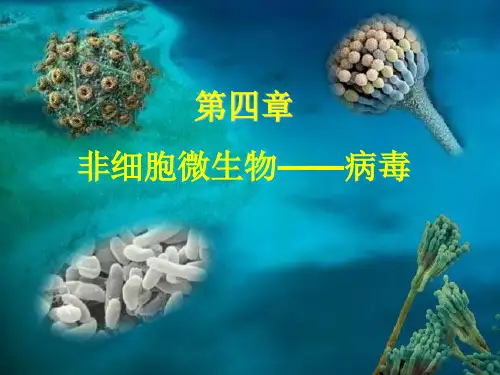 非细胞微生物-病毒
