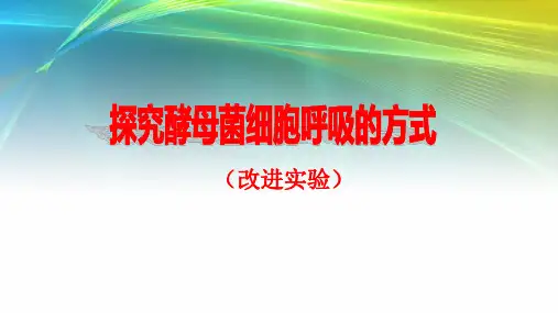 高中生物《探究酵母菌细胞呼吸方式》PPT课件