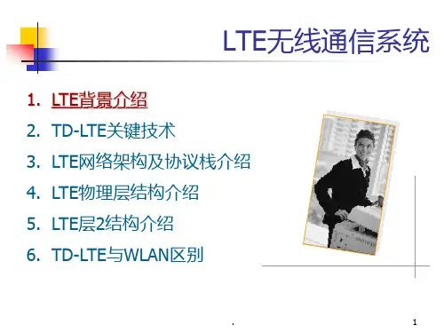LTE无线通信系统PPT课件