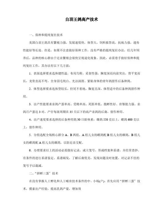 白羽王鸽高产养殖技术