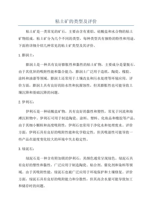 粘土矿的类型及评价