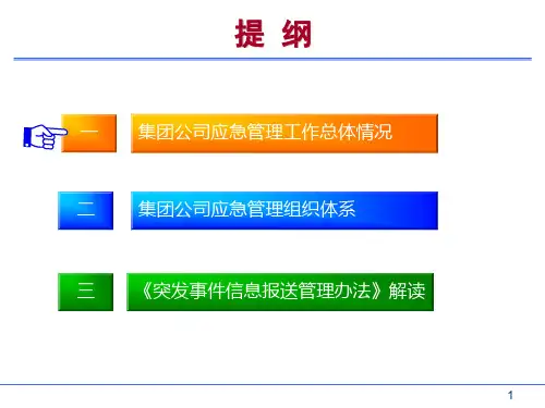 最新应急组织体系及信息报送要求ppt课件