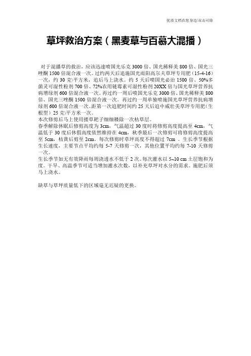草坪救治方案(黑麦草与百慕大混播)