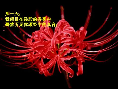 仓央嘉措-那一世