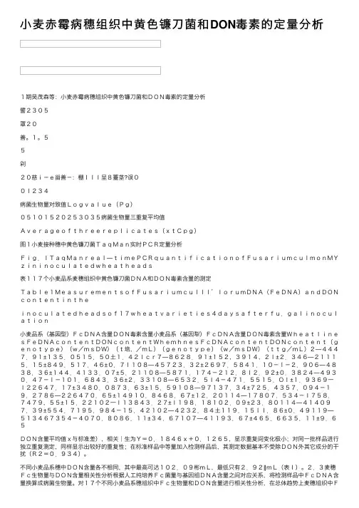 小麦赤霉病穗组织中黄色镰刀菌和DON毒素的定量分析