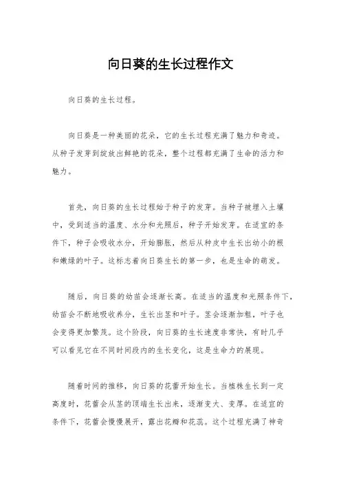 向日葵的生长过程作文