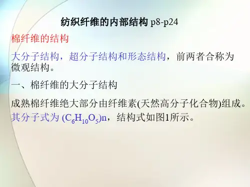 纺织材料与检测课件——纺织纤维的内部结构