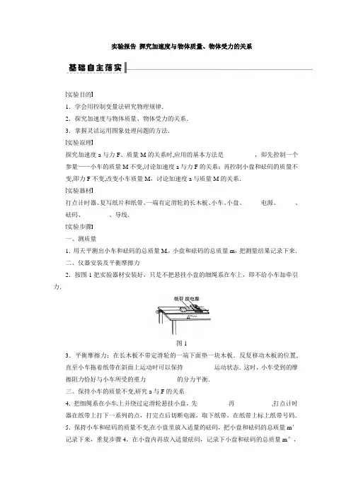 实验报告 探究加速度与力、质量的关系