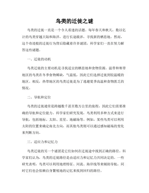 鸟类的迁徙之谜