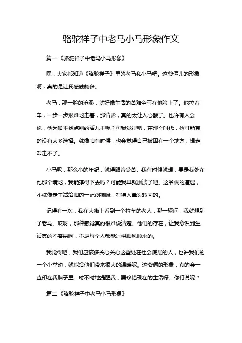 骆驼祥子中老马小马形象作文
