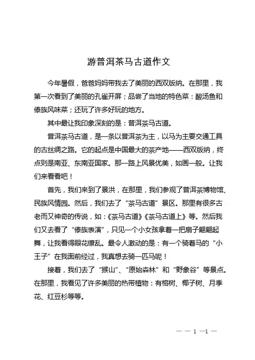 游普洱茶马古道作文