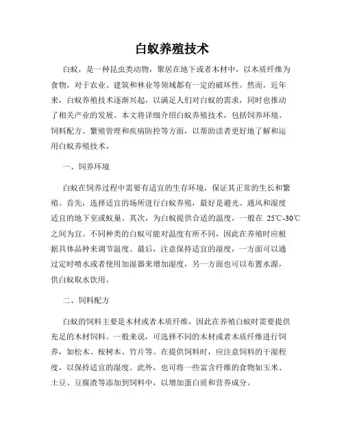 白蚁养殖技术