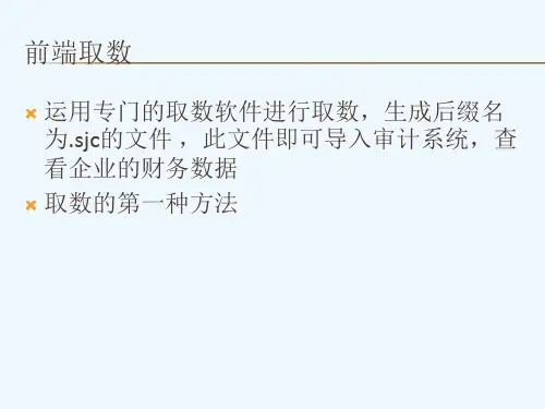 鼎信诺审计软件的四种取数方法
