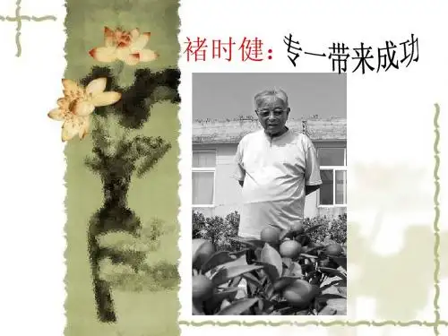 褚时健