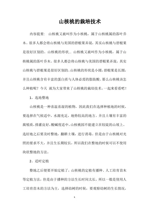 山核桃的栽培技术