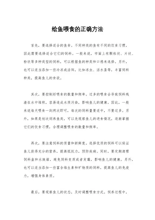 给鱼喂食的正确方法