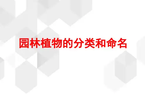 园林植物的分类和命名
