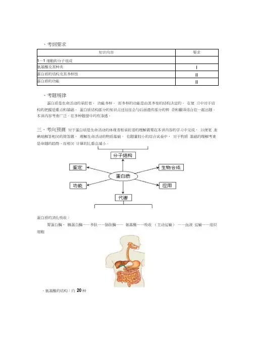 人教版新课标高考生物一轮复习教案---蛋白质