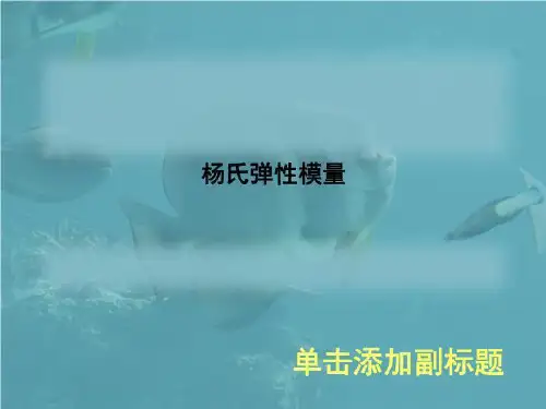 杨氏弹性模量