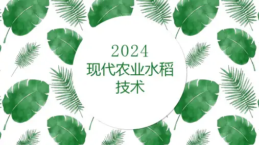 现代农业水稻技术