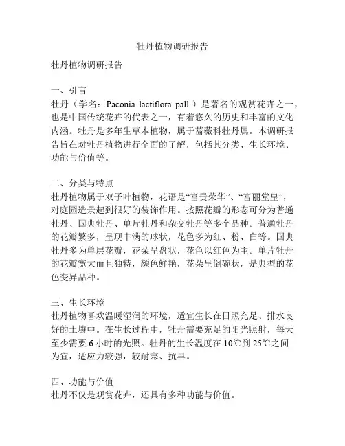 牡丹植物调研报告