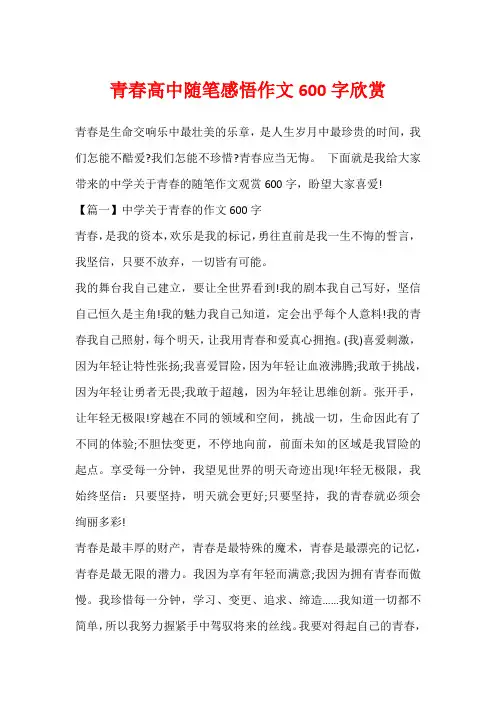 青春高中随笔感悟作文600字欣赏