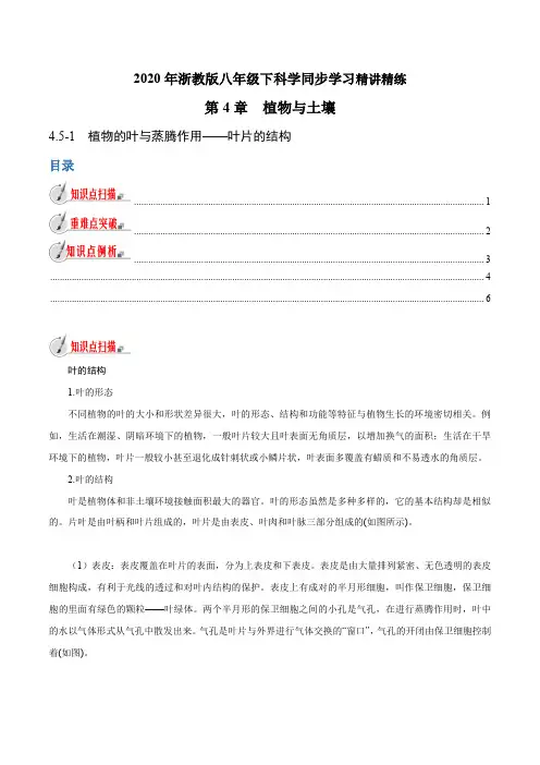 专题4.5.1植物的叶与蒸腾作用——叶片的结构(原卷版+解析)