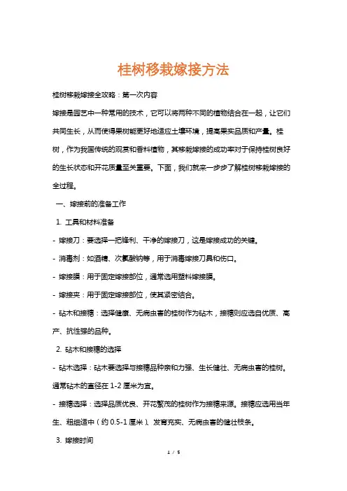 桂树移栽嫁接方法