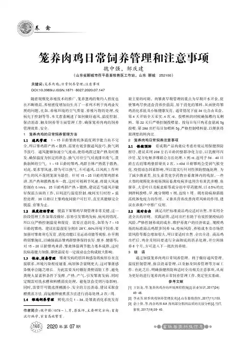 笼养肉鸡日常饲养管理和注意事项
