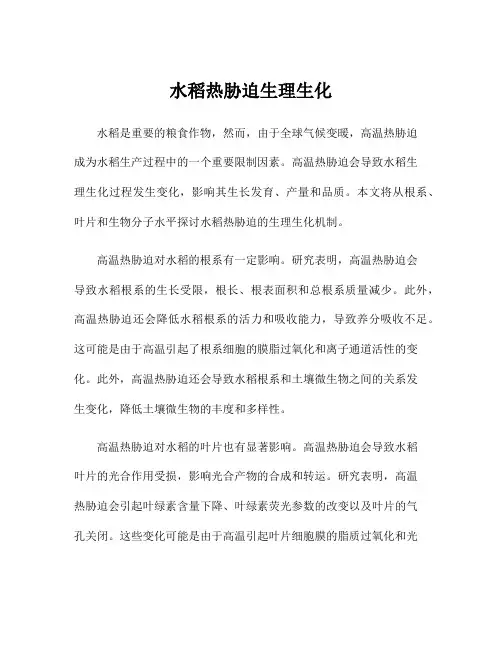 水稻热胁迫生理生化