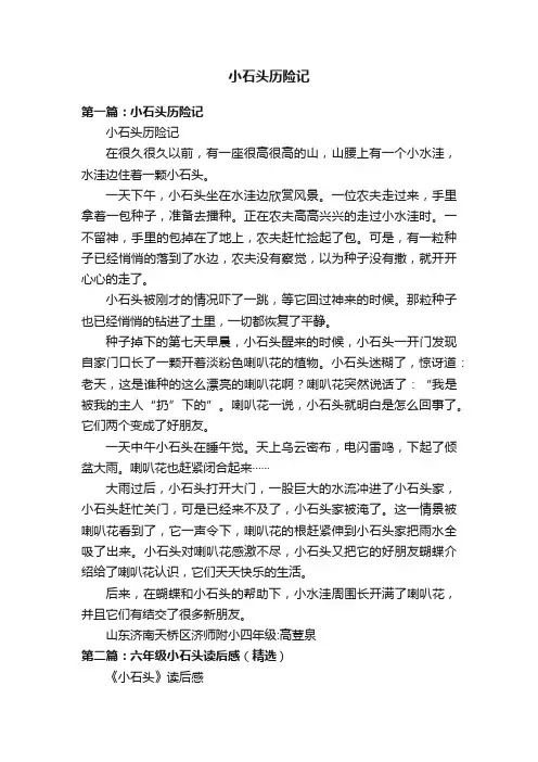小石头历险记