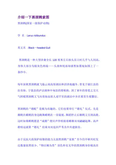 介绍一下黑颈鹤索图